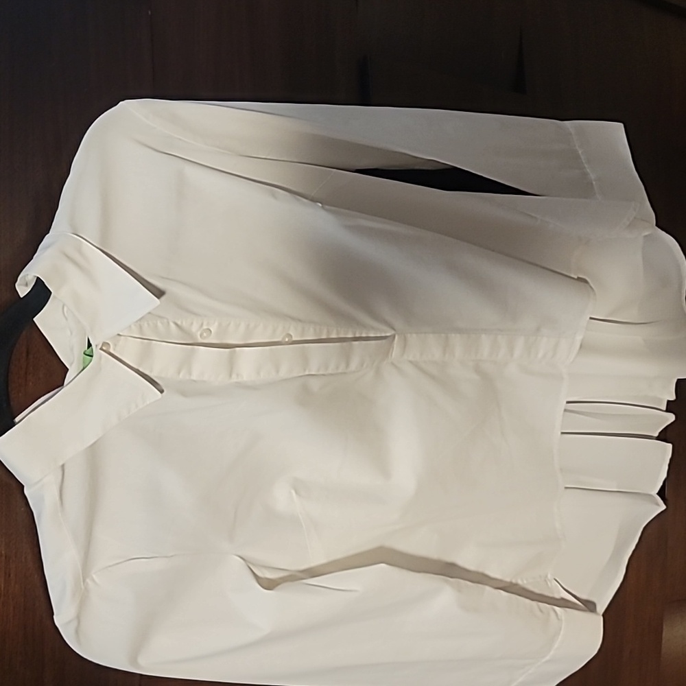 White Houee Black Market, pleated chiffon back blouse